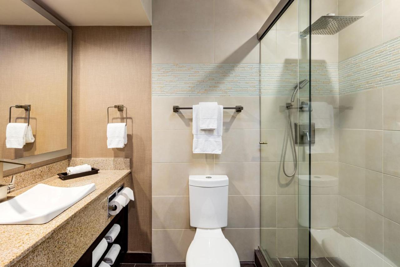 Suite Lit King-Size Exécutive